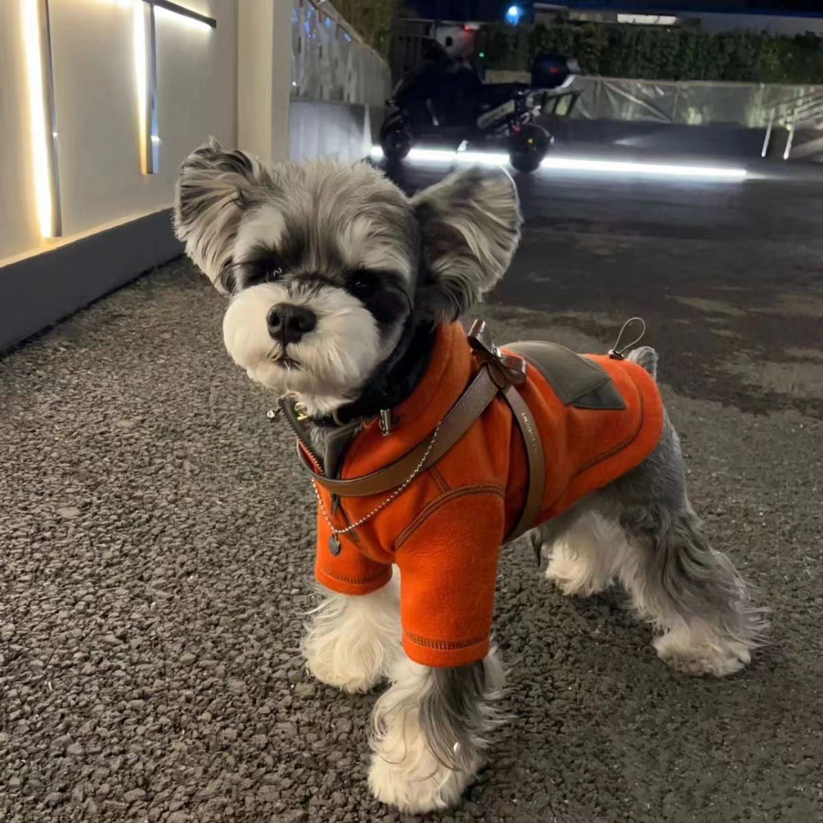 Pet Clothing Hooded Sweater