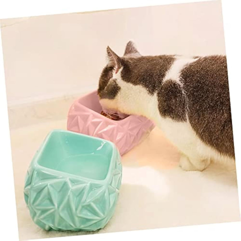 Ceramic Pet Feeding Bowl