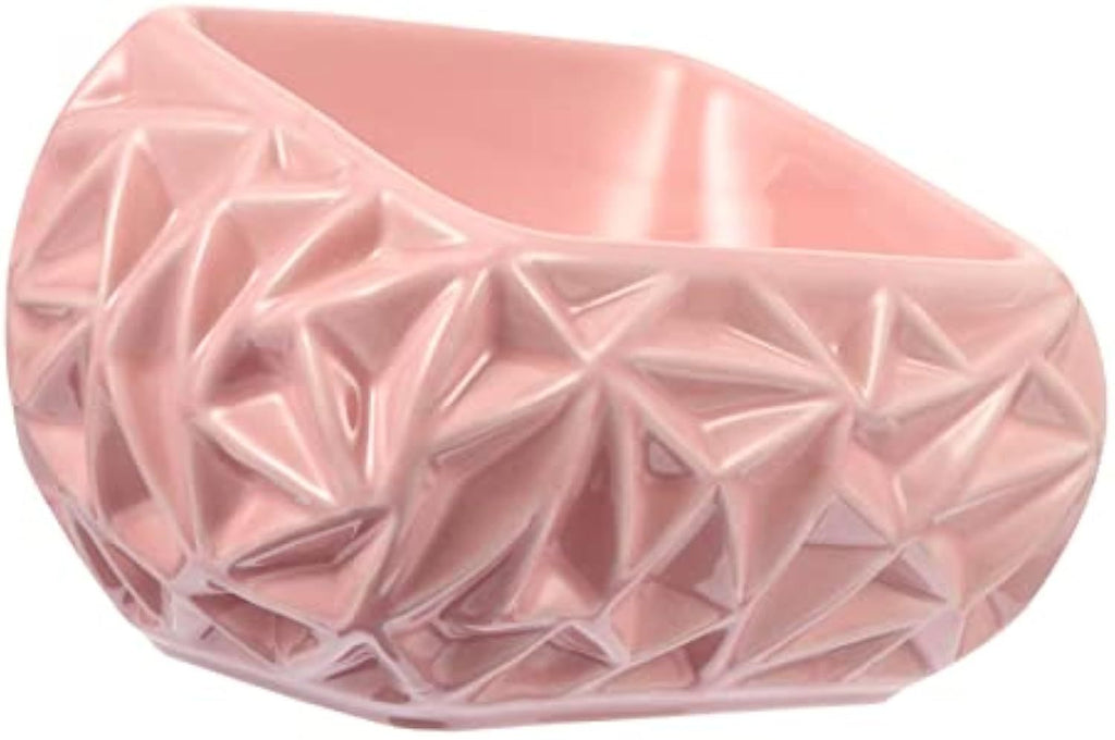 Ceramic Pet Feeding Bowl