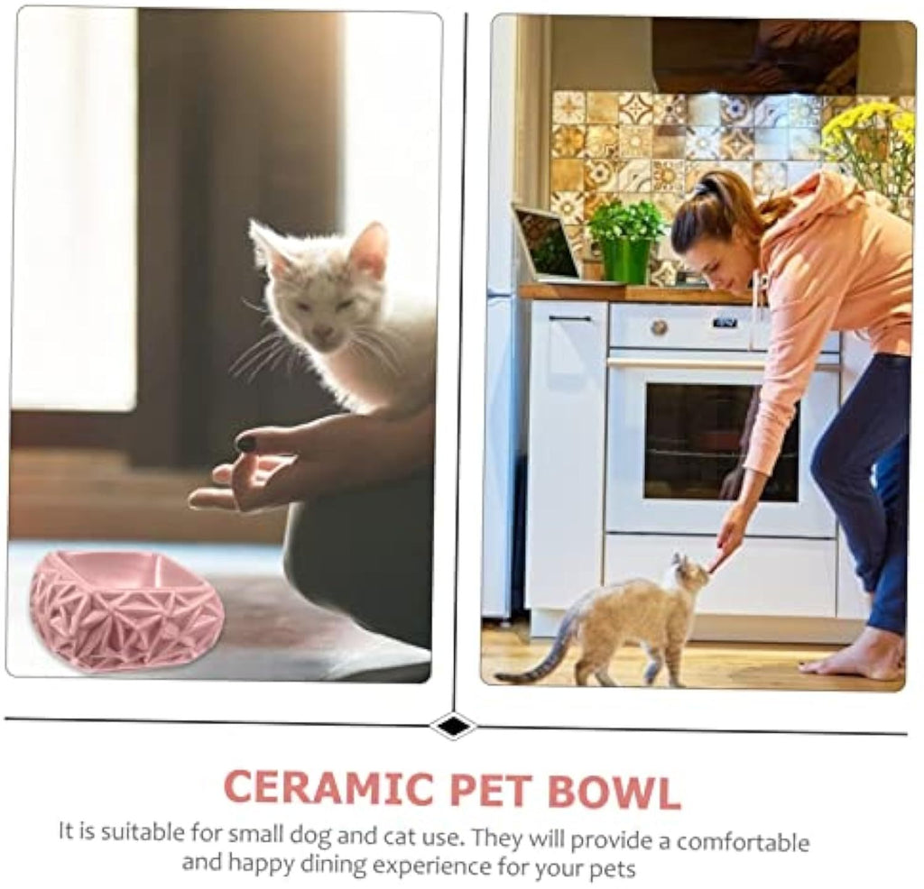 Ceramic Pet Feeding Bowl