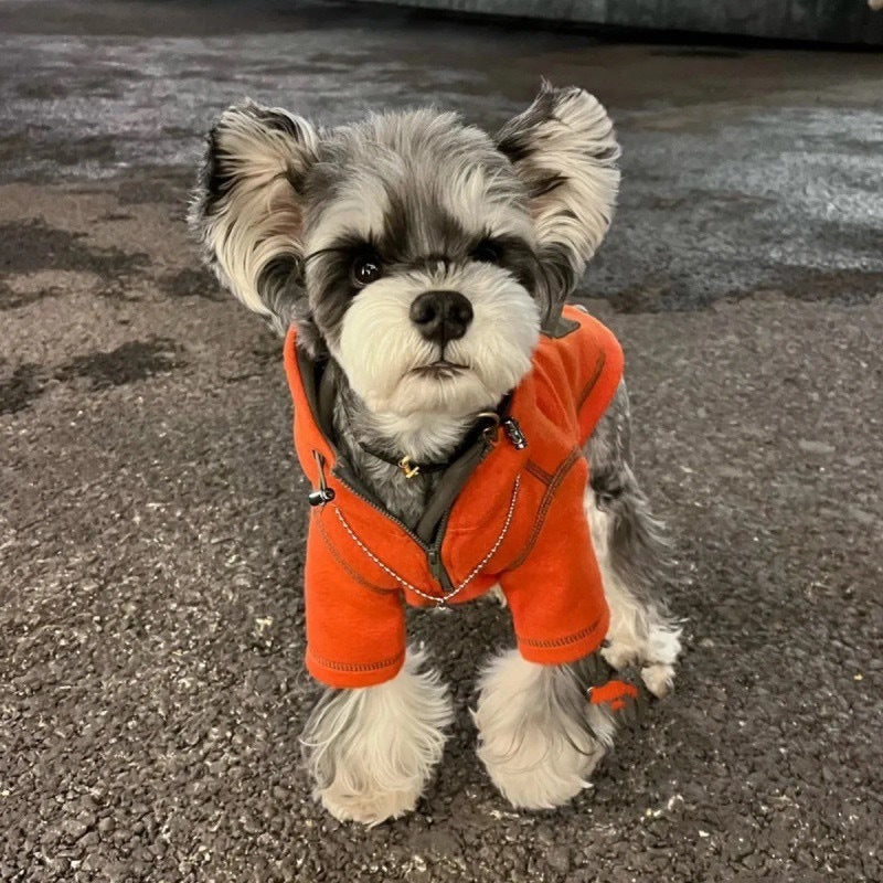 Pet Clothing Hooded Sweater